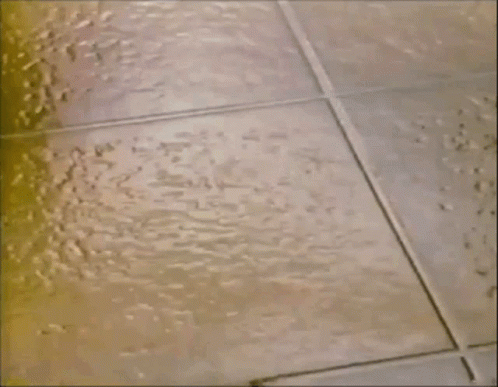 A Broken Egg Is Sitting On A Wet Tile Floor GIF
