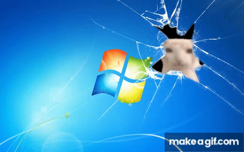 A Broken Screen With A Picture Of A Cat Sticking Its Head Through It GIF
