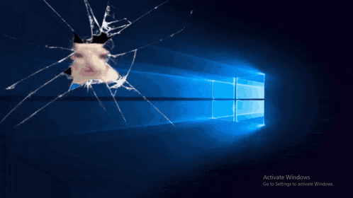 A Broken Screen With A Picture Of A Pig And The Words Activate Windows GIF