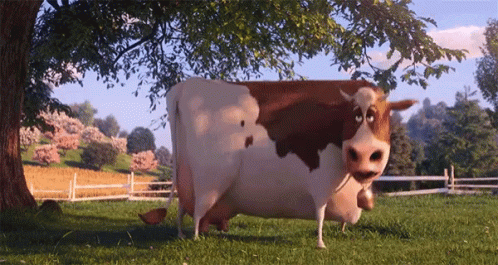 A Brown And White Cow In A Grassy Field GIF
