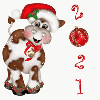 A Brown And White Cow Wearing A Santa Hat With A Bell Around Its Neck GIF