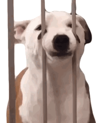 A Brown And White Dog Is Behind Bars With Its Mouth Open Sticker
