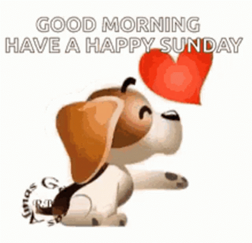 A Brown And White Dog Is Holding A Red Heart In Its Mouth . GIF
