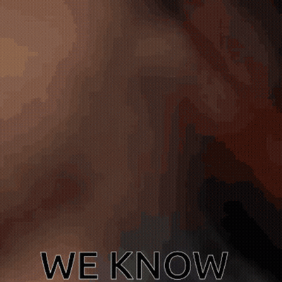 A Brown And White Dog Is Sitting In Front Of A Window With The Words " We Know " Above It GIF