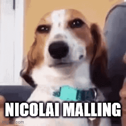 A Brown And White Dog With A Blue Collar Is Sitting Next To A Person And Says Nicolai Maling . GIF