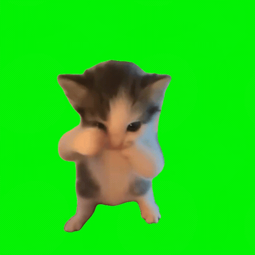 A Brown And White Kitten Standing On Its Hind Legs On A Green Screen . GIF