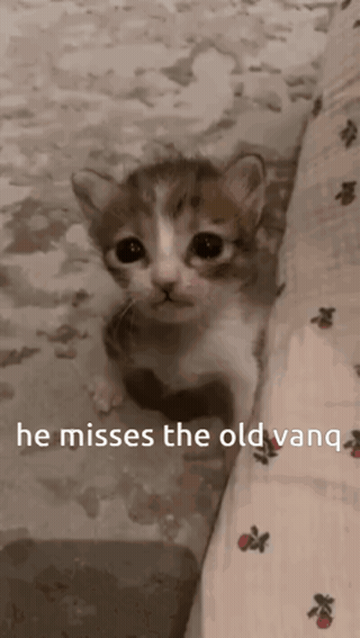 A Brown And White Kitten With The Words He Misses The Old Vanq Written Below It GIF