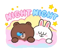 A Brown Bear And A White Rabbit Are Laying Next To Each Other With The Words Night Night Written Above Them Sticker