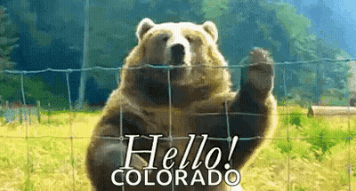 A Brown Bear Is Standing Behind A Fence Waving Its Paw And Says Hello Colorado GIF