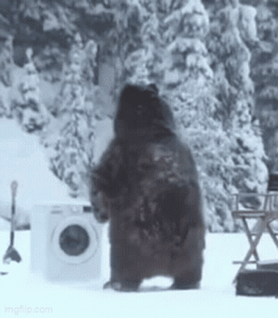 A Brown Bear Is Standing In The Snow In Front Of A Washing Machine . GIF