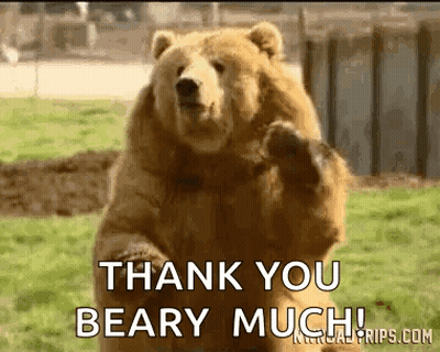 A Brown Bear Is Standing On Its Hind Legs In A Field And Says Thank You Beary Much . GIF