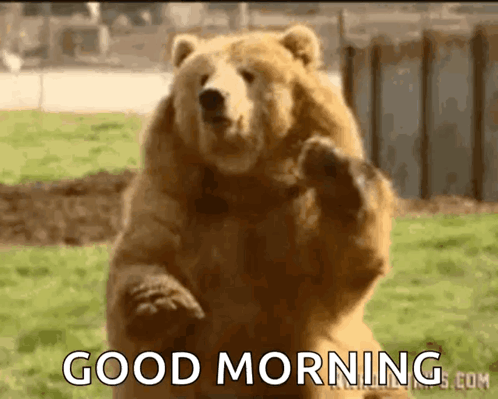 A Brown Bear Standing On Its Hind Legs With The Words Good Morning Written On The Bottom GIF