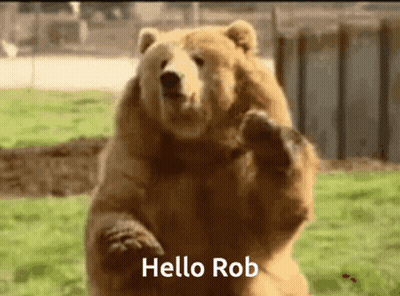 A Brown Bear Standing On Its Hind Legs With The Words Hello Rob Written Below It GIF