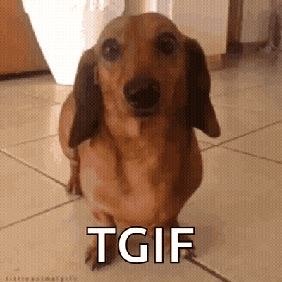 A Brown Dachshund Is Standing On A Tiled Floor With The Words Tgif Written On It . GIF