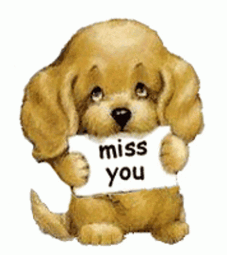 A Brown Dog Holding A Sign That Says Miss You GIF