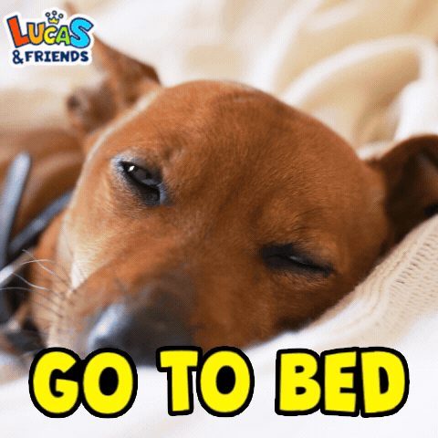 A Brown Dog Is Laying On A Bed With The Words Go To Bed Above It GIF