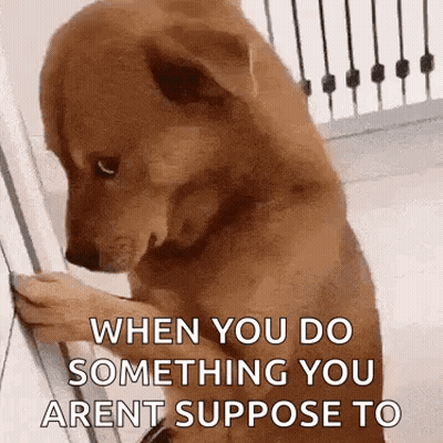 A Brown Dog Is Leaning Against A Wall With Its Paws . GIF