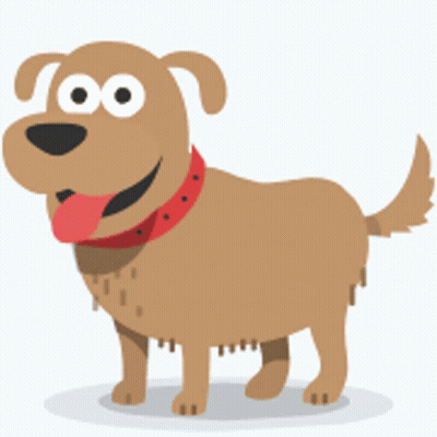 A Brown Dog Wearing A Red Collar Is Standing On A White Surface GIF