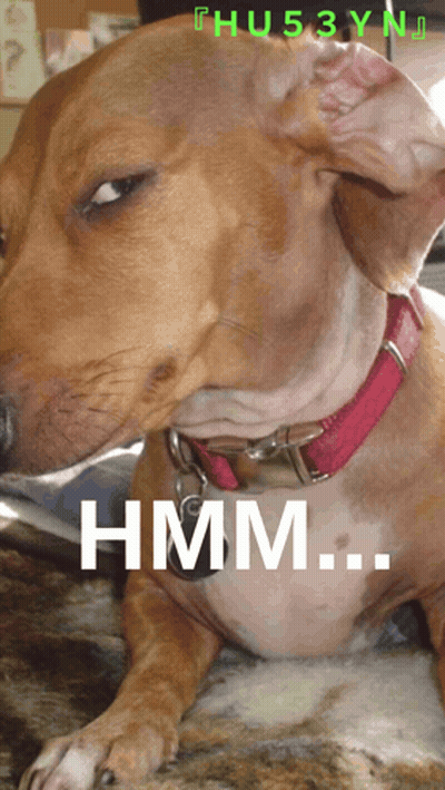 A Brown Dog With A Red Collar Is Laying Down With The Word Hmm Below It GIF