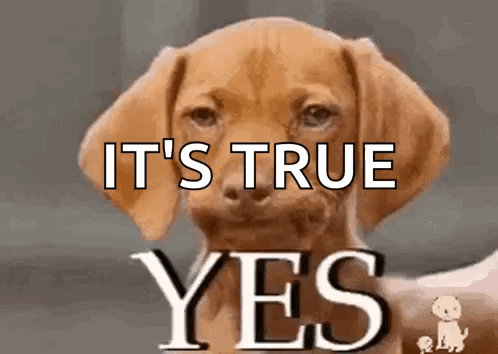 A Brown Dog With The Words `` It 'S True Yes '' Written On Its Face . GIF