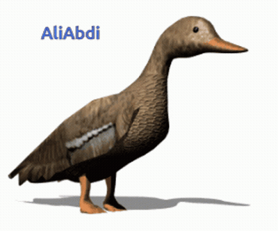 A Brown Duck With The Name Aliabdi On The Bottom GIF