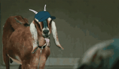 A Brown Goat Wearing A Blue Hat With Horns Sticking Its Tongue Out GIF