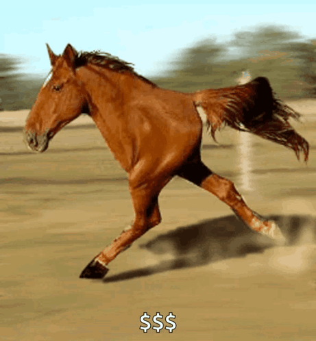 A Brown Horse Is Running In A Dirt Field With A Dollar Sign Above It GIF