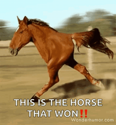 A Brown Horse Is Running In A Dirt Field With The Words This Is The Horse That Won . GIF