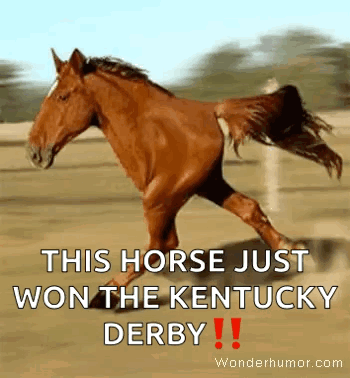 A Brown Horse Is Running On A Dirt Field With The Caption " This Horse Just Won The Kentucky Derby !! " GIF