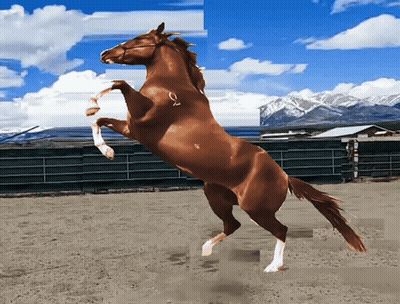 A Brown Horse Standing On Its Hind Legs In A Dirt Field GIF
