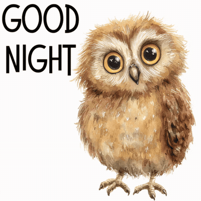 A Brown Owl With The Words Good Night Below It GIF
