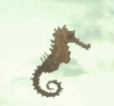 A Brown Seahorse With A Long Tail Is Swimming In The Water . GIF
