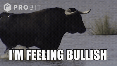 A Bull In The Water With The Words I 'M Feeling Bullish GIF