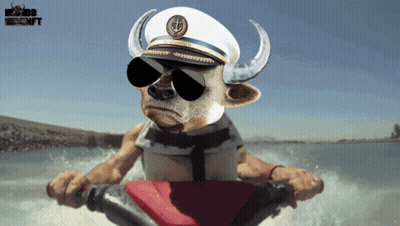 A Bull Wearing A Captain Hat And Sunglasses Is Riding A Jet Ski GIF