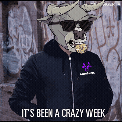 A Bull Wearing Sunglasses And A Cambulls Jacket GIF