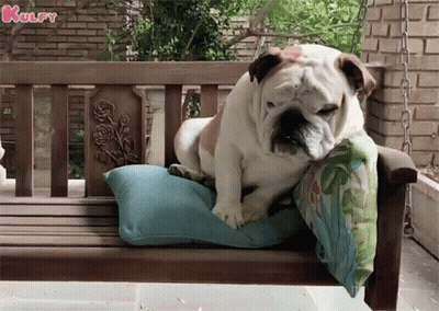 A Bulldog Is Laying On A Pillow On A Wooden Swing . GIF