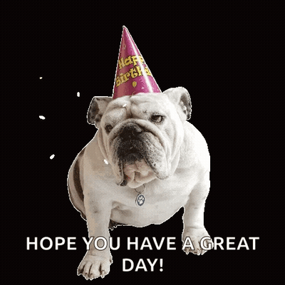 A Bulldog Wearing A Party Hat With The Words Hope You Have A Great Day Below It GIF