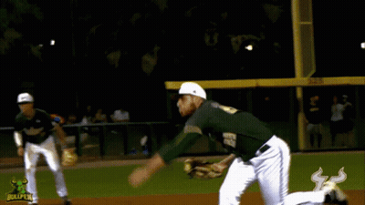A Bullpen Logo Can Be Seen In The Background Of A Baseball Game GIF
