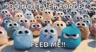 A Bunch Of Angry Birds With The Words `` Do Not Ever Forget Feed Me '' GIF