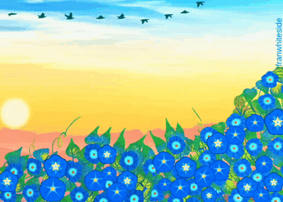 a bunch of blue flowers against a sunset sky