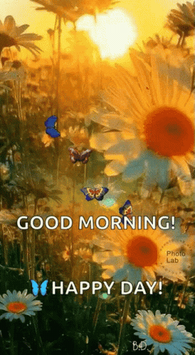 A Bunch Of Butterflies Are Flying Around A Field Of Daisies . GIF