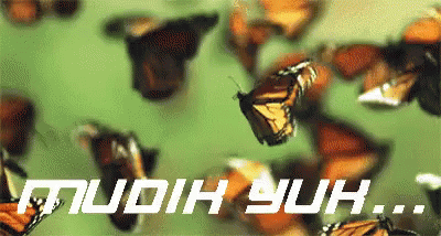 A Bunch Of Butterflies Are Flying In The Air And The Words Mudah Yuh Are Visible GIF