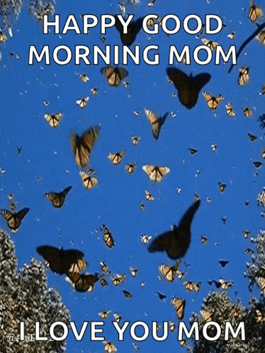 A Bunch Of Butterflies Flying In The Sky With The Words " Happy Good Morning Mom I Love You Mom " GIF