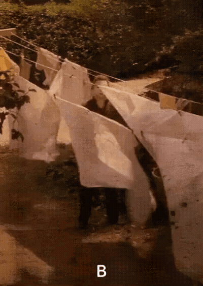 A Bunch Of Clothes Are Hanging On A Clothes Line And The Letter B Is Above Them GIF
