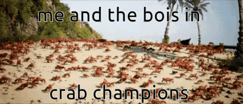 A Bunch Of Crabs On A Sandy Beach With The Words Me And The Bois In Crab Champions GIF