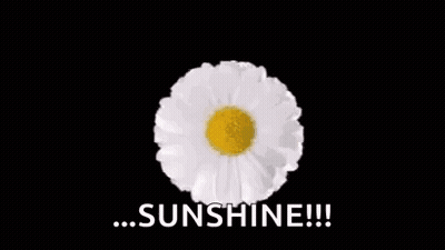 A Bunch Of Daisies Are Sitting In A Circle With The Words `` Sunshine '' Written In The Middle . GIF