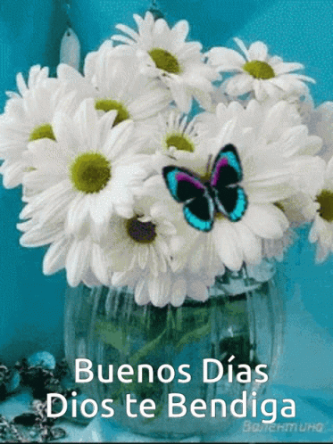 A Bunch Of Daisies In A Vase With The Words Buenos Dias Dios Te Bendiga On The Bottom GIF
