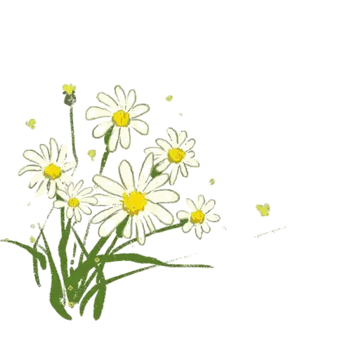 A Bunch Of Daisies With The Words " Good Luck To You " Below Them Sticker
