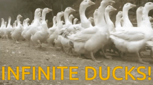 A Bunch Of Ducks Are Walking In A Line With The Words Infinite Ducks In Yellow GIF