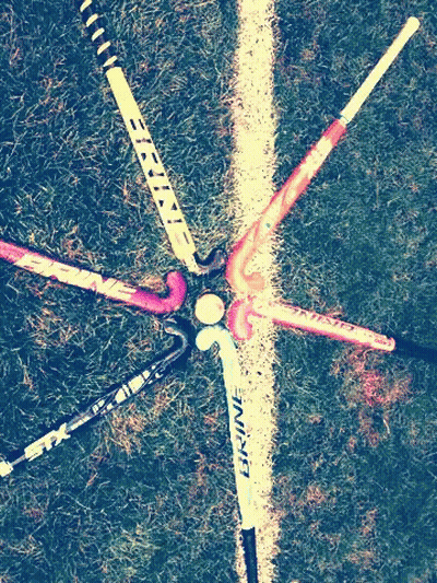 A Bunch Of Field Hockey Sticks Are Lined Up In A Circle With One That Says Equine On It GIF